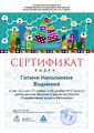 Сертификат проектная МК 2017 Воднева.jpg