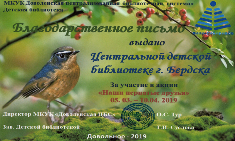 Файл:Центральная детская Бердск Акция о птицах.png