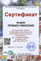 Сертификат Инфографика Пунько.png
