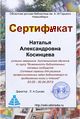 Сертификат курсы Косинцева.jpg