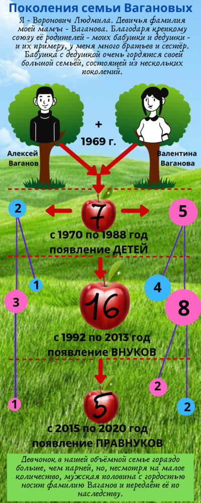 ИнфографикВагановы.jpg