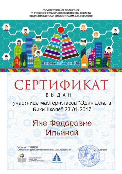 Файл:Сертификат школа23.01.17 Ильина.jpg