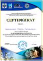 Шаповалова Сертификат духовно нраственное воспитание.jpg