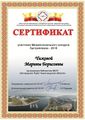 Сертификат Чижова М.Б..jpg