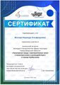 Сертификат зональной встречи работников культуры.JPG