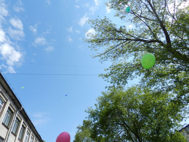 Файл:Небо с воздушными шарами 2012 122.jpg