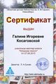 Сертификат Мастерская текст косаговская.jpg