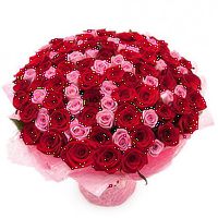 101 Бордово-розовая роза 2.jpg