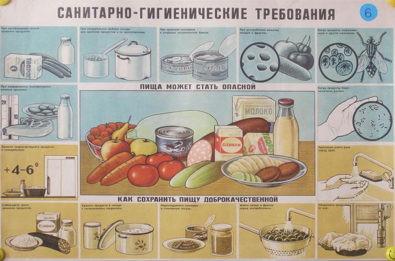 Файл:Плакат по кулинарии.jpg